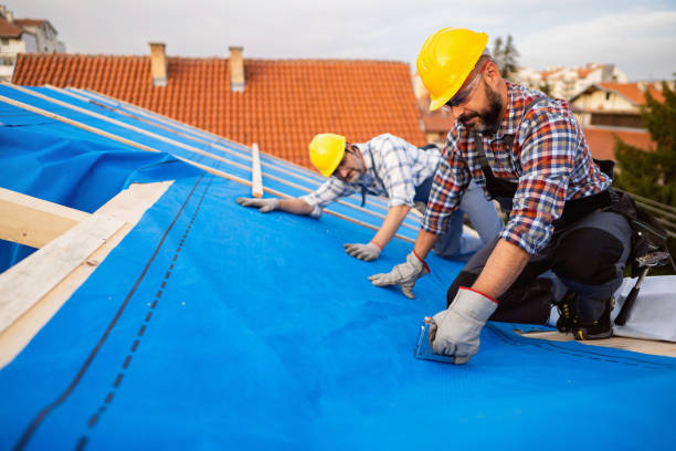 Quick and Trustworthy Emergency Roof Repair Services in Dover Base Housing, DE